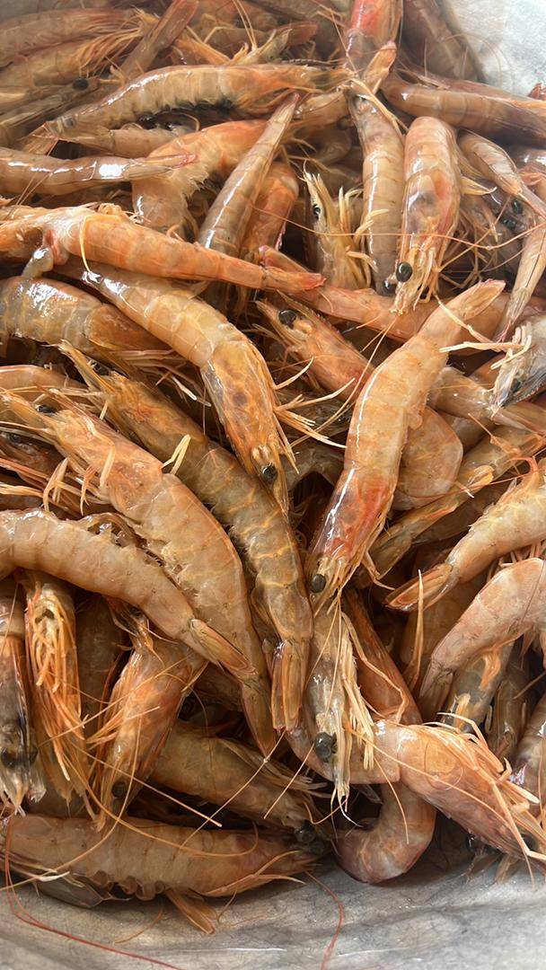 Crevettes 