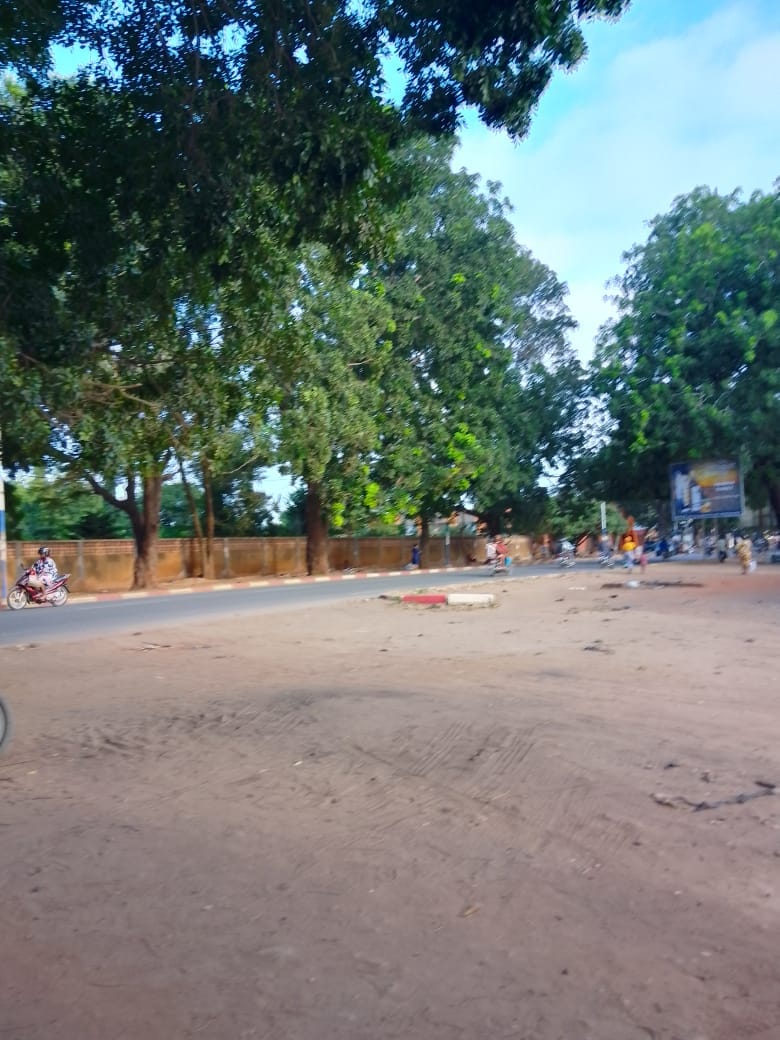 𝗢𝗣𝗣𝗢𝗥𝗧𝗨𝗡𝗜𝗧𝗘́ 𝗙𝗢𝗡𝗖𝗜𝗘̀𝗥𝗘 — HEDZRANAWOÉ  📍 2 lots collés à 60 m du goudron, non loin du marché de Hedzranawoé.